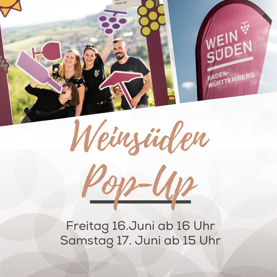 Weinsüden Pop Up - im Weinberg